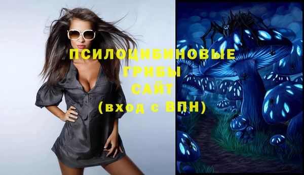 мдма Богородицк