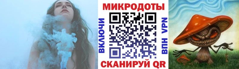 Галлюциногенные грибы Psilocybe  Ачхой-Мартан 